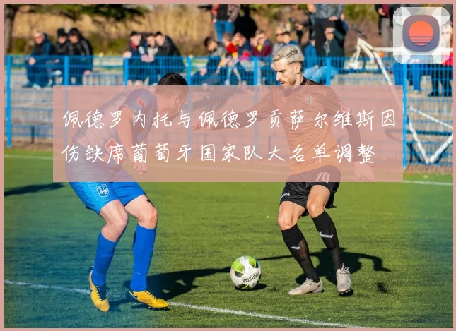 佩德罗内托与佩德罗贡萨尔维斯因伤缺席葡萄牙国家队大名单调整