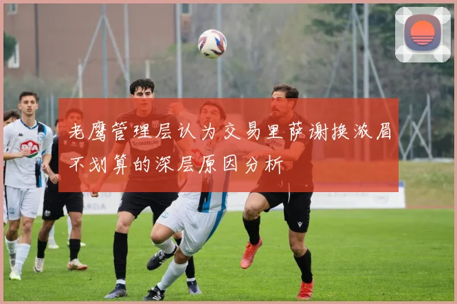 老鹰管理层认为交易里萨谢换浓眉不划算的深层原因分析