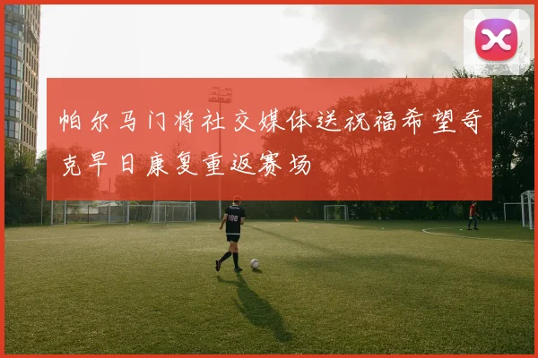 帕尔马门将社交媒体送祝福希望奇克早日康复重返赛场