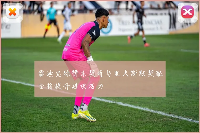 雷迪克称赞东契奇与里夫斯默契配合将提升进攻活力
